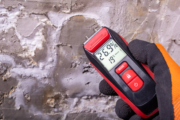 Office Mold Removal Services in Wheatland, CA
