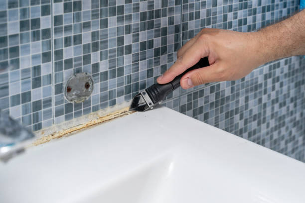 Best Certified Mold Removal  in Wheatland, CA