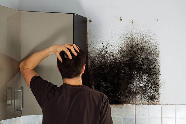 Best Crawl Space Mold Removal  in Wheatland, CA